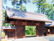 Muza chan's Japan Photo Gallery